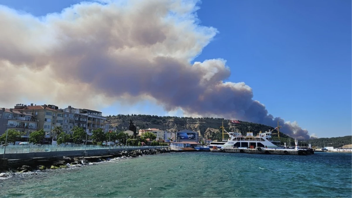 Çanakkale'de orman yangını! Boğaz'da gemi trafiği tek yönlü askıya alındı