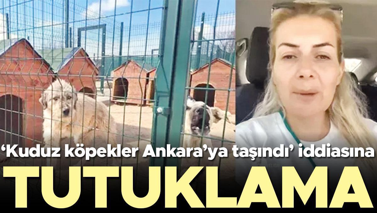 ‘Kuduz köpekler Ankara’ya taşındı’ iddiasına tutuklama