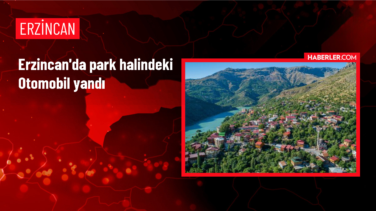 Erzincan'da park halindeyken alev alan otomobil tamamen yandı