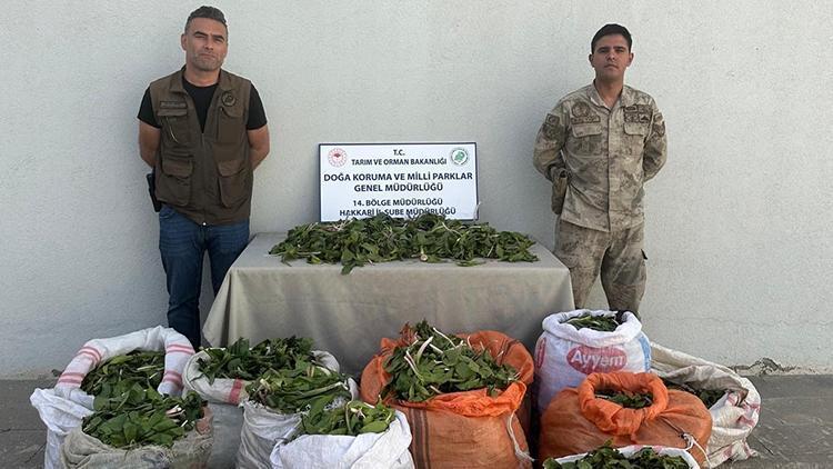 Hakkari'de kaçakçılık operasyonu: 3 kişiye 1 milyon 161 bin TL ceza