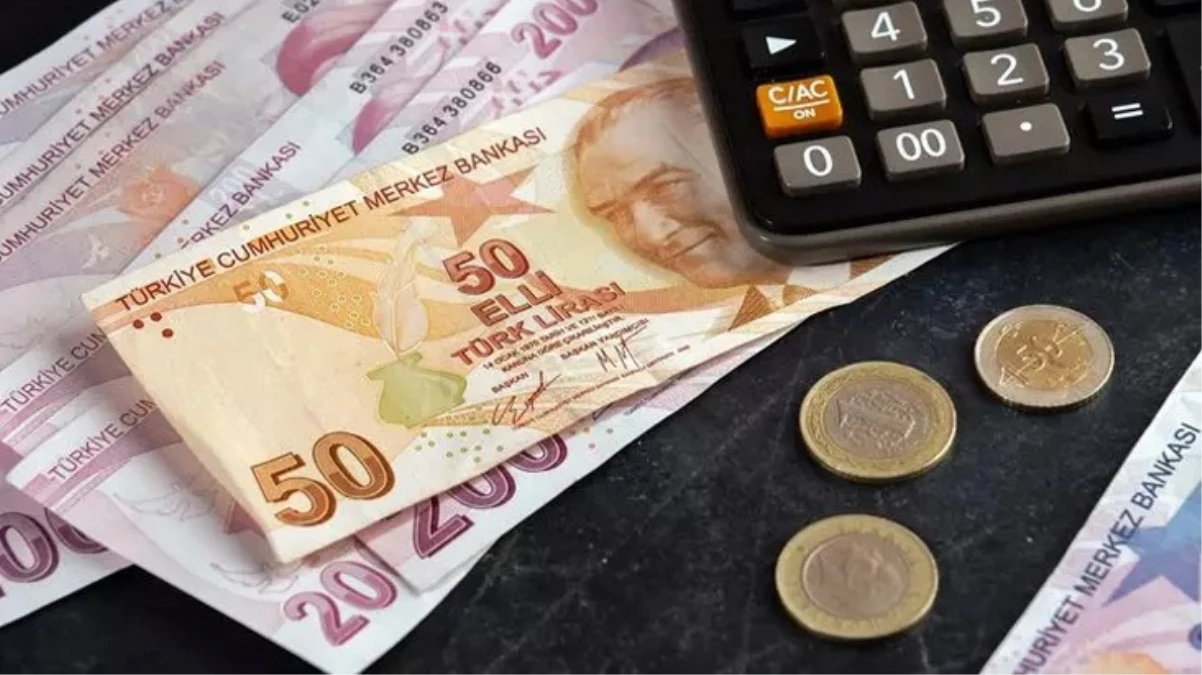 Hazine ve Maliye Bakanlığı 56 milyar 656,1 milyon lira borçlandı