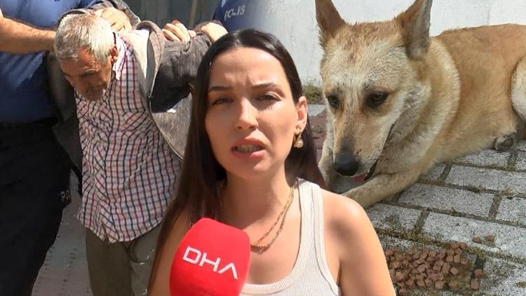 İstanbul'da iğrenç olay! Köpeğe cinsel istismarda bulunun şüpheli gözaltına alındı