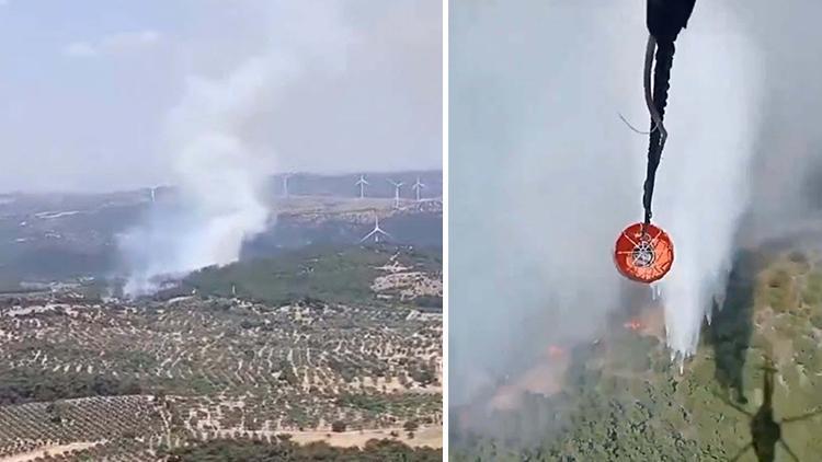 İzmir Bergama'da orman yangını