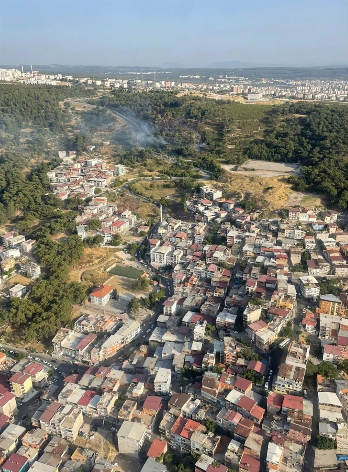 İzmir Bornova'da Ormanlık Alanda Çıkan Yangın Kontrol Altına Alındı