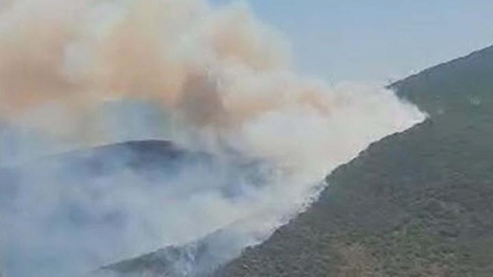 İzmir Urla'da orman yangını! Havadan ve karadan müdahale ediliyor