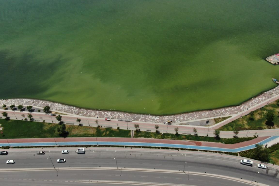 İzmir'de denizin renginin değişmesinin nedeni 'plankton' patlaması