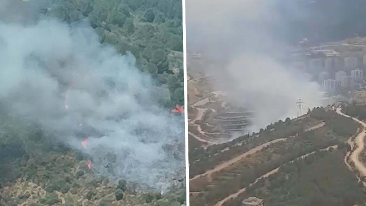 İzmir'de orman yangını: Havadan ve karadan müdahale ediliyor