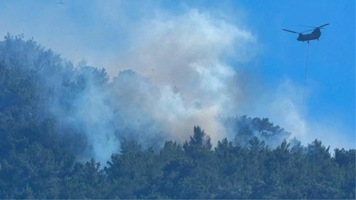 İzmir'in Selçuk ve Menderes ilçelerinde çıkan yangınlar kontrol altına alındı