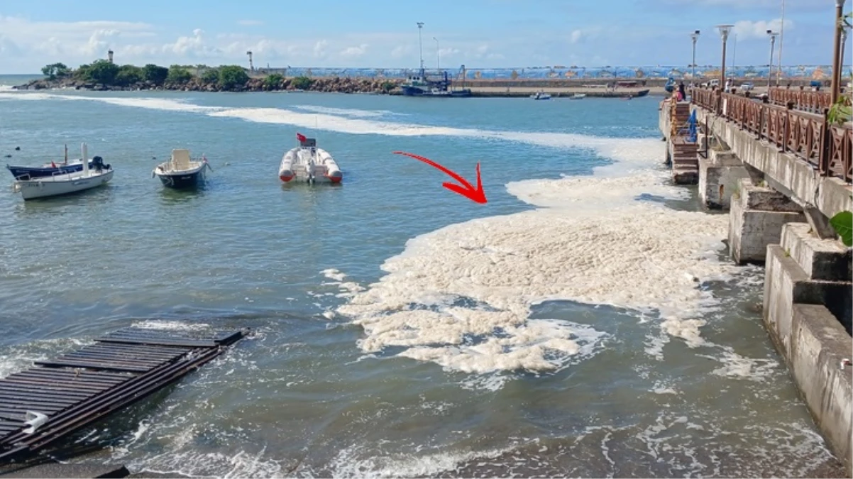 Karadeniz müsilaj istilasında! Mavi bayraklı plajda tatilcileri yıkan manzara