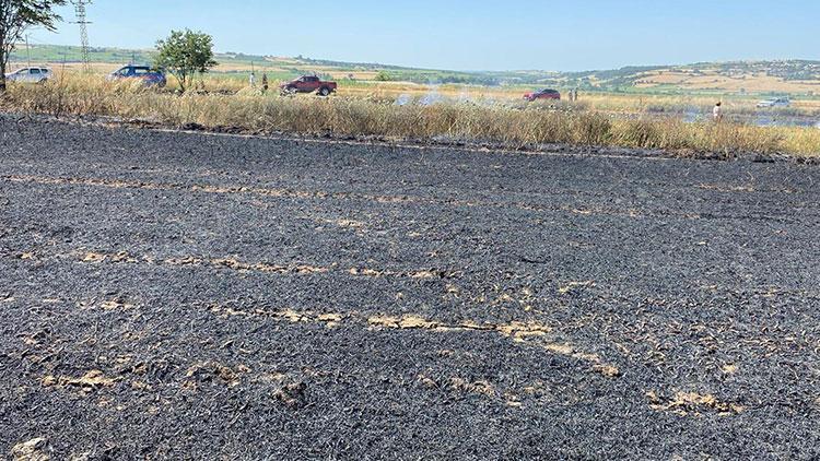 Malkara'da 5 dekar buğday tarlası yandı