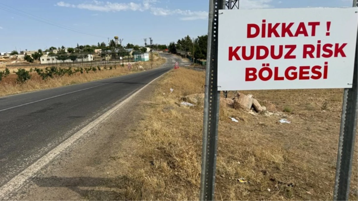 Niğde'de 1 kişiyi hastanelik eden başıboş köpek öldü, mahalle karantinaya alındı