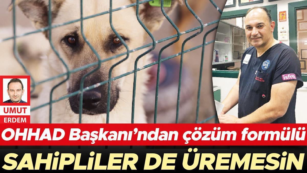 OHHAD Başkanı'ndan çözüm formülü: Sahipliler de üremesin