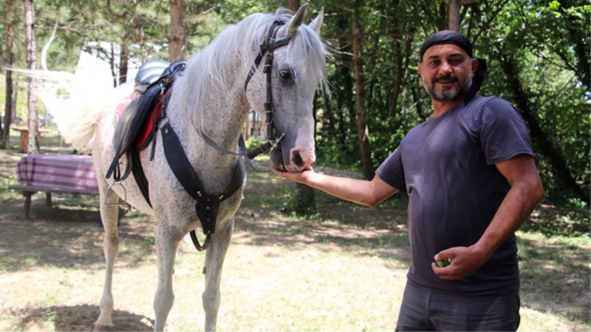 "Allah" denilince şaha kalkan at ilgi odağı oldu: Canı yanmasın diye buna alıştırdım