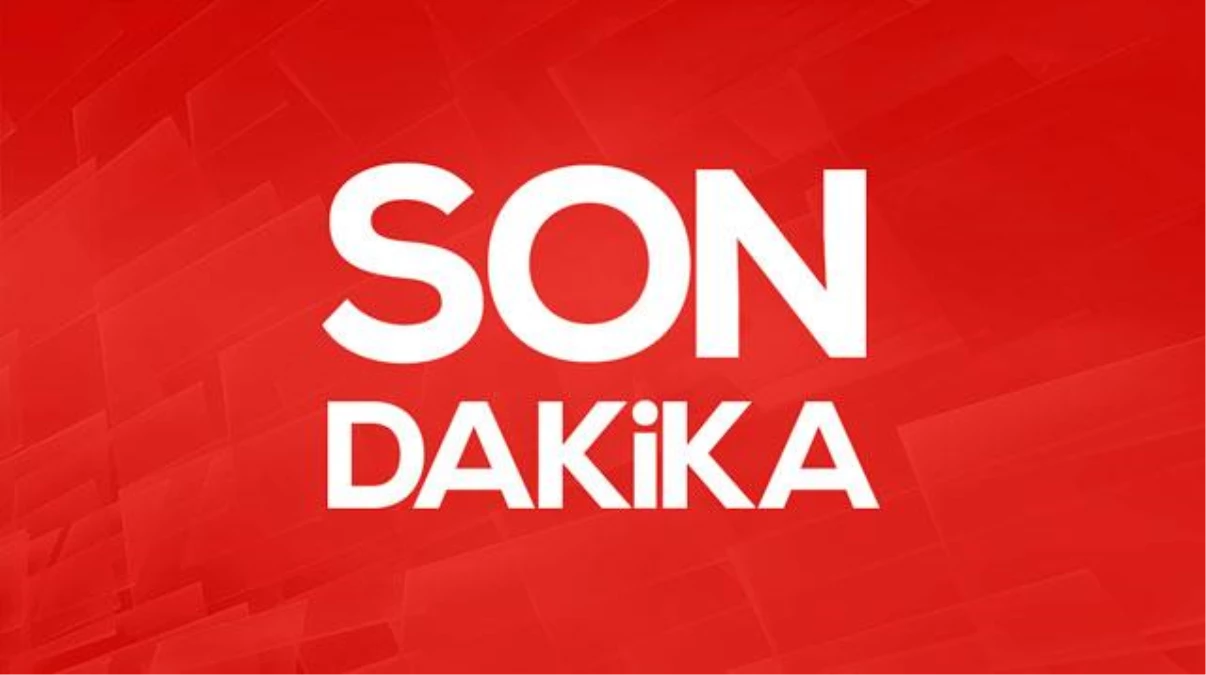Şanlıurfa'da kuduz karantinası ilan edilmiş bölgedeki 35 hasta köpeği Ankara'ya getiren Buket Özgünlü Boyacı tutuklandı