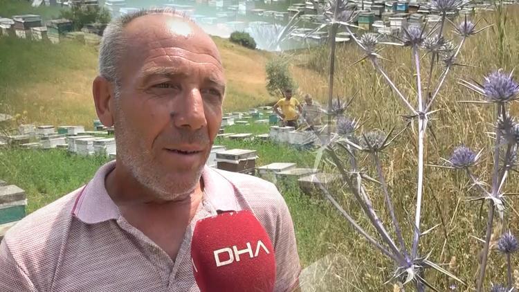 39 yıldır her yaz Bodrum'dan Hakkari'ye geliyor... Muazzam coğrafya gelir kapısı oldu