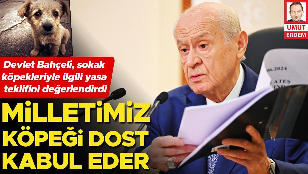 Bahçeli: Türk milleti köpekleri dost sayar