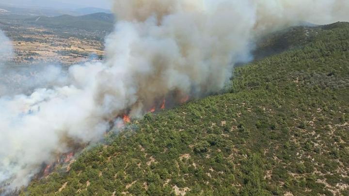 Bodrum'da orman yangını! Havadan ve karadan müdahale ediliyor