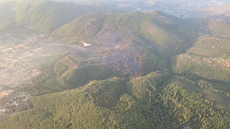 Bodrum'daki orman yangını kontrol altına alındı