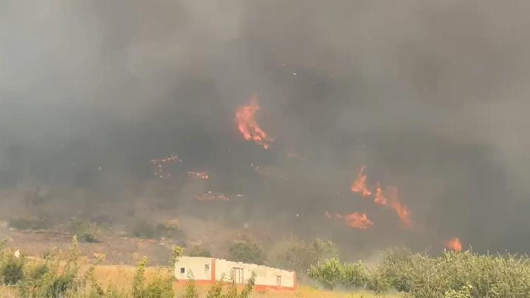 Bursa'da orman yangını