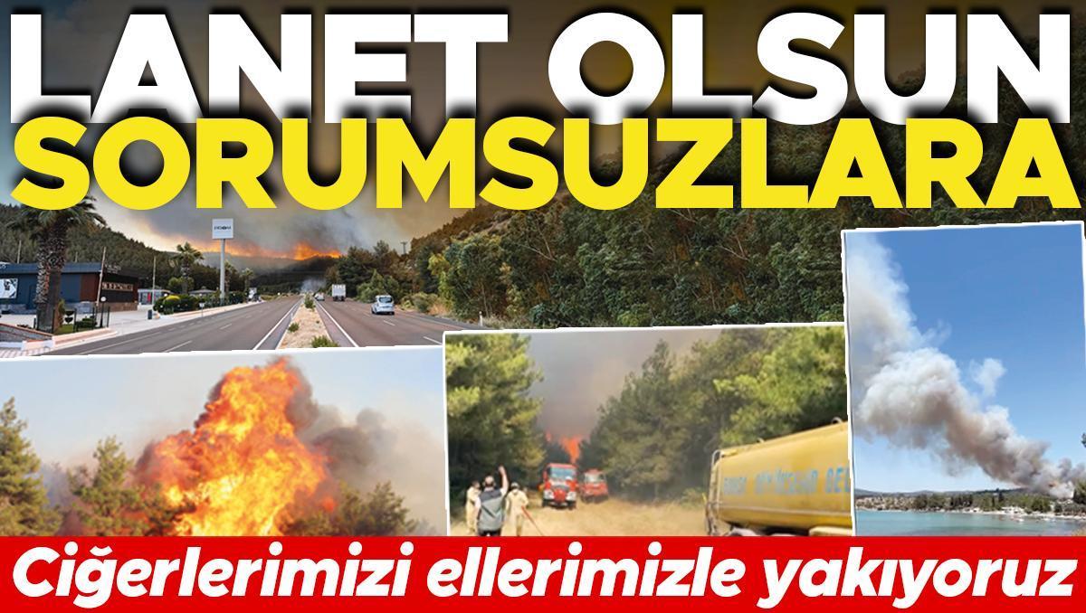 Ciğerlerimizi ellerimizle yakıyoruz... Büyük orman yangınlarından biri izmaritten diğeri hobi bahçesinden