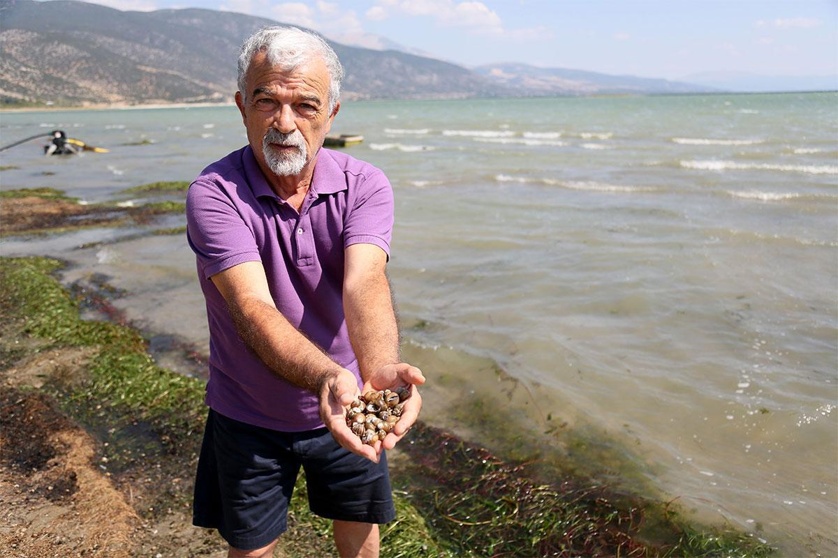 Eğirdir Gölü'nde tehlike: Binlerce kabuklu su canlısı ölüsü kıyıya vurdu