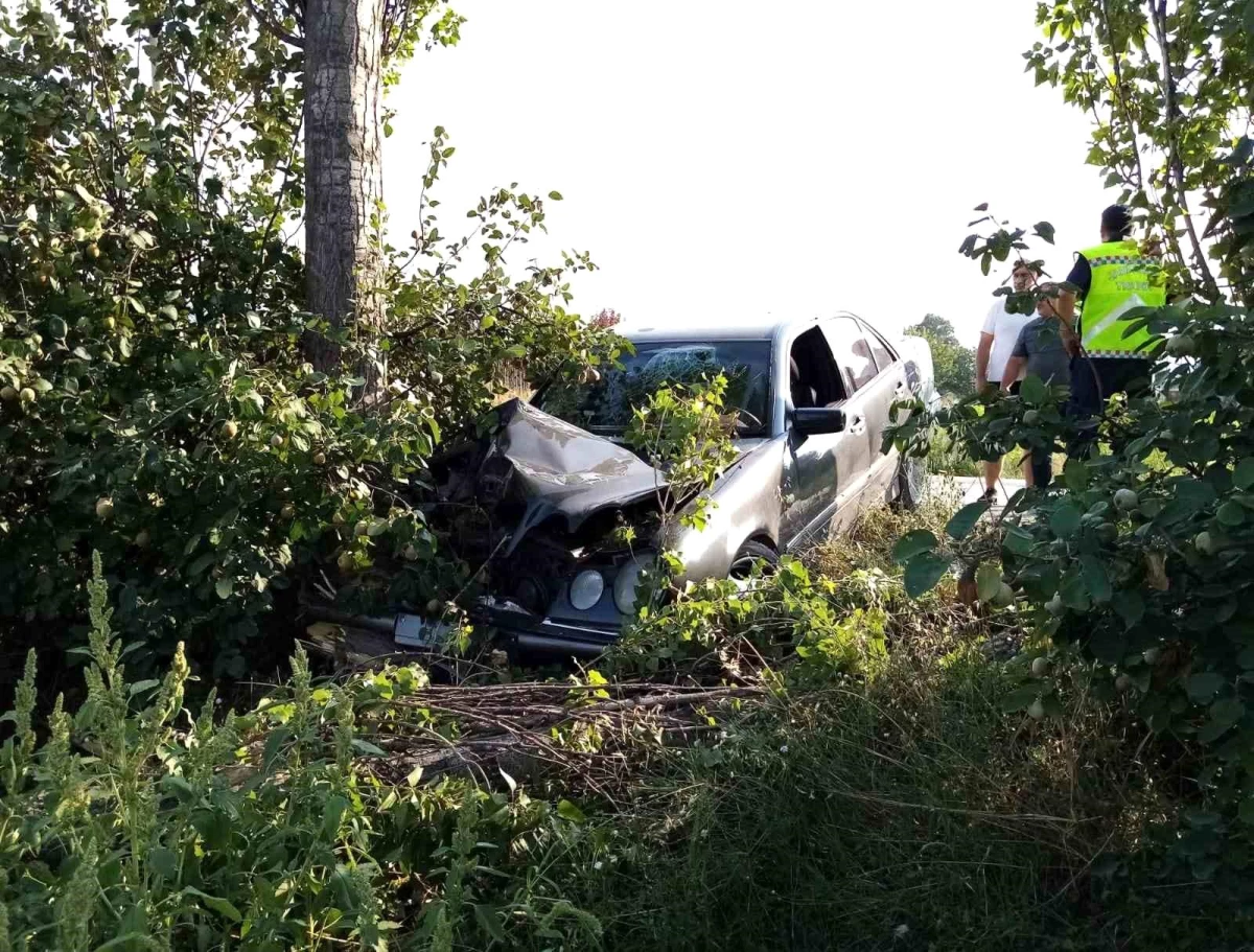 İnegöl'de ağaçlara çarpan otomobilde 2 kişi yaralandı