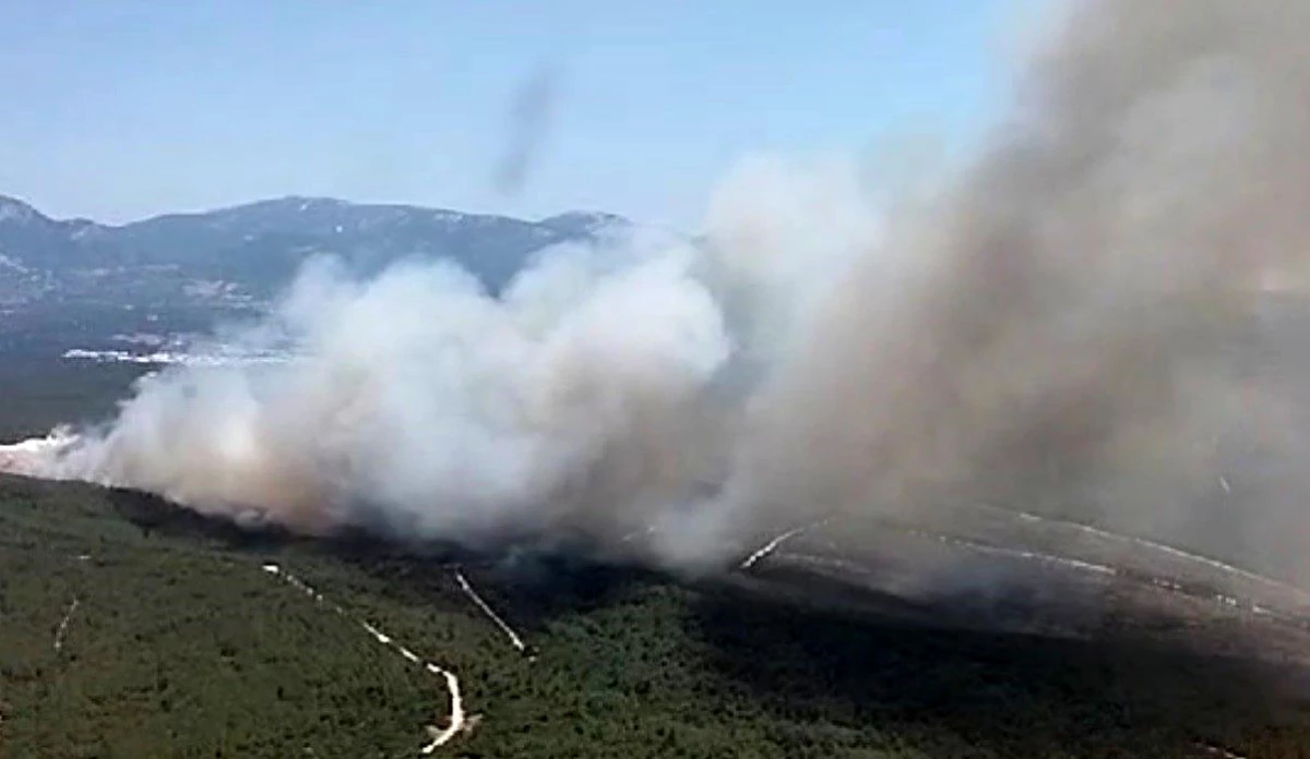 İzmir Buca'da Orman Yangınına Müdahale Sürüyor