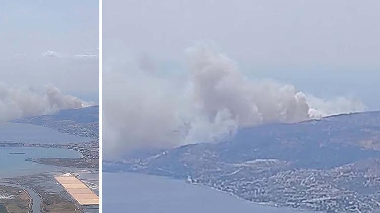 İzmir Dikili'de orman yangını