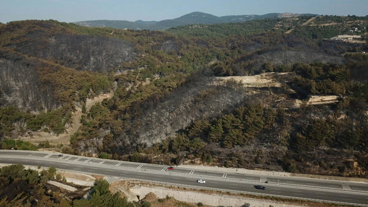 İzmir'deki Orman Yangınına Havadan Müdahale Devam Ediyor