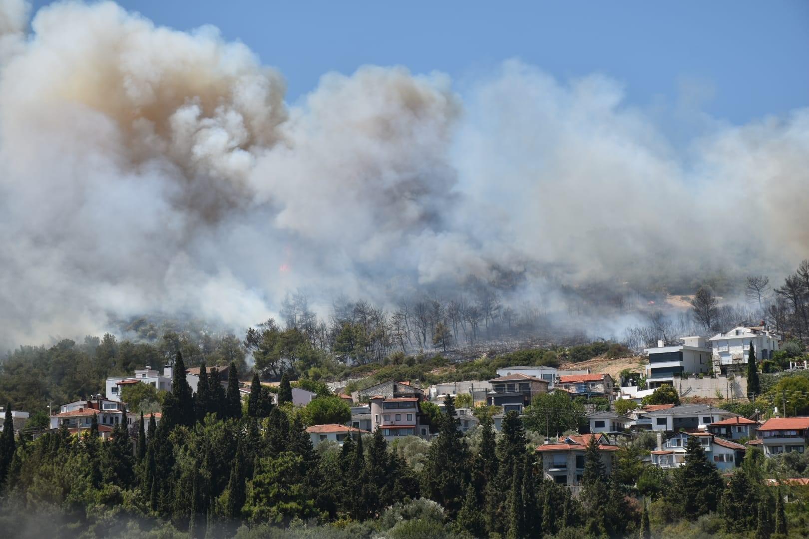 İzmir'in Urla ve Çeşme ilçesinde orman yangını