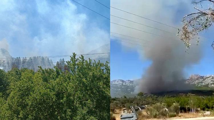 Kahramanmaraş ve Antalya'da orman yangını! Ekipler müdahale ediyor