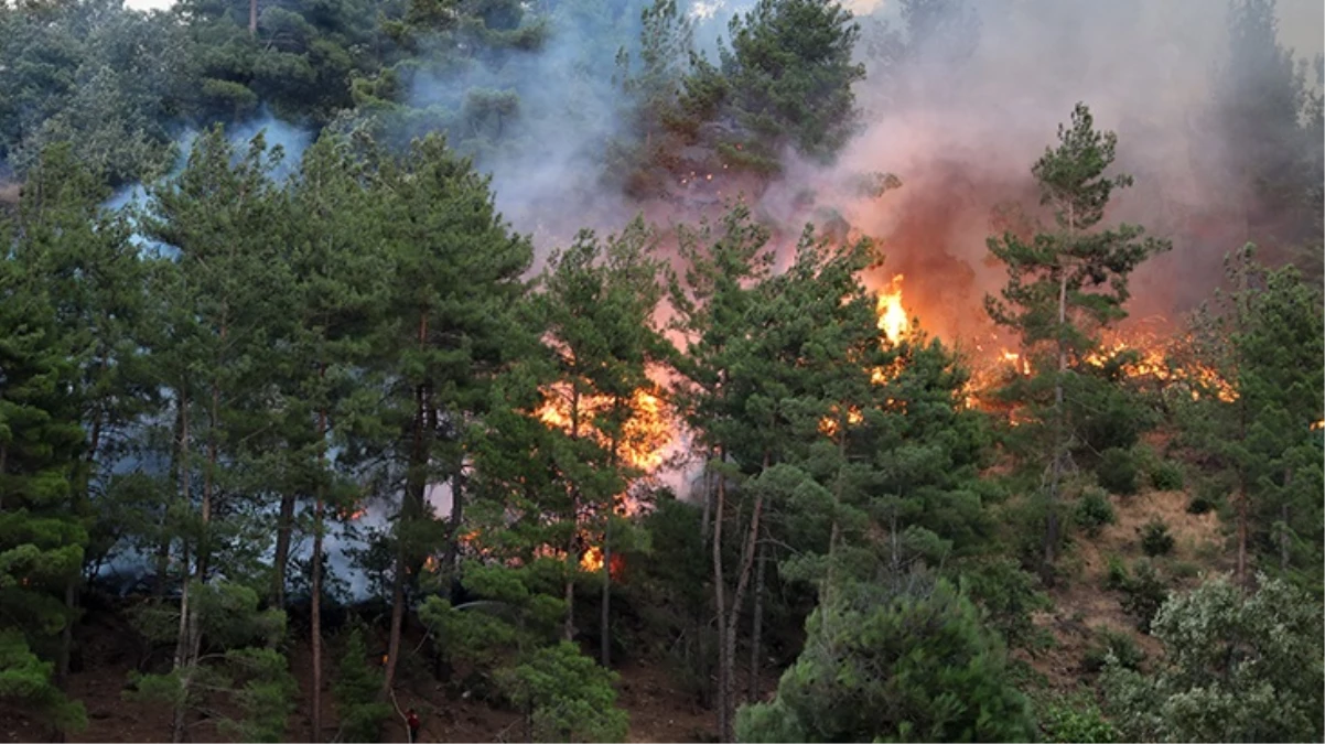 Kahramanmaraş'taki orman yangınının nedeni "piknikçi ateşi"