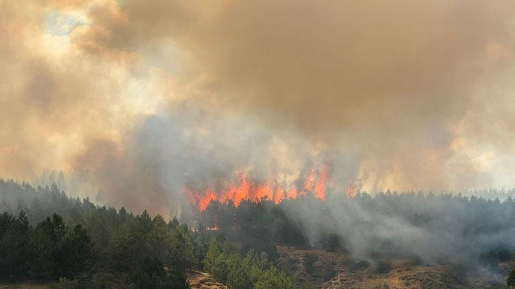 Kastamonu'da ormanlık alanda yangın