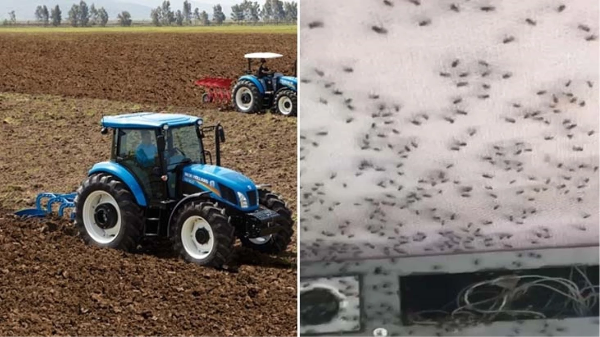 Traktörüne binen çiftçi neye uğradığını şaşırdı! Binlerce sinek aracın içini sardı