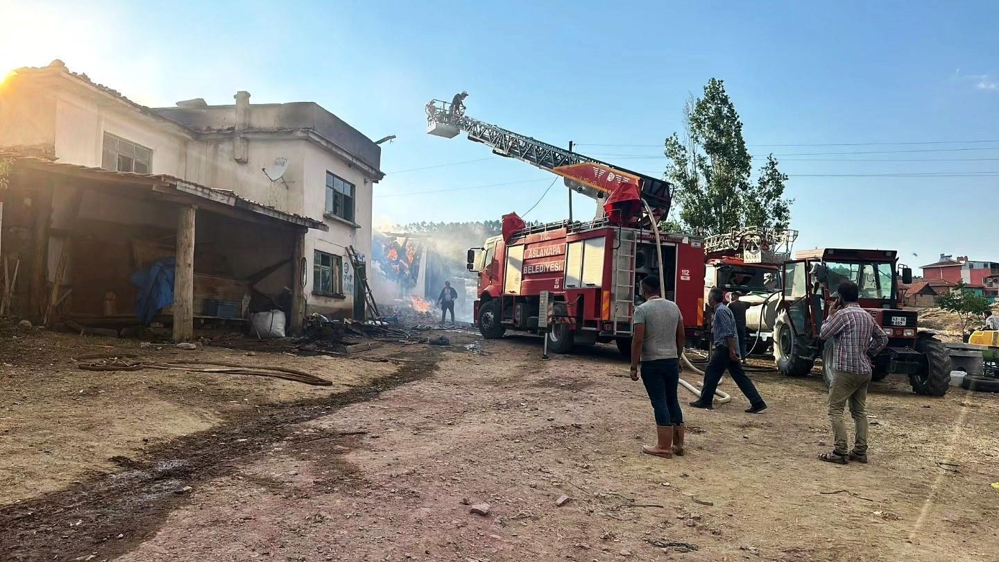 14 büyükbaş çıkan yangında telef oldu