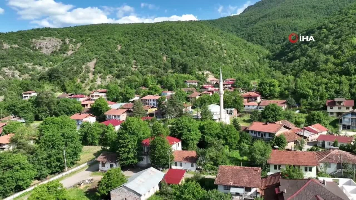 Almus'un mutfak mirası: Gelenekten geleceğe tadına doyulmaz yöresel lezzetler