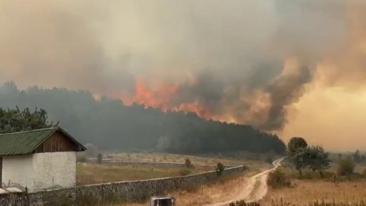 Ankara, Bolu ve İzmir'de alevlerle mücadele... Ankara'daki yangın Bolu'ya sıçradı