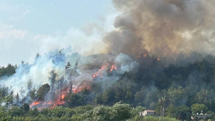 Antalya Aksu'da orman yangını! Rüzgarın etkisiyle yayıldı