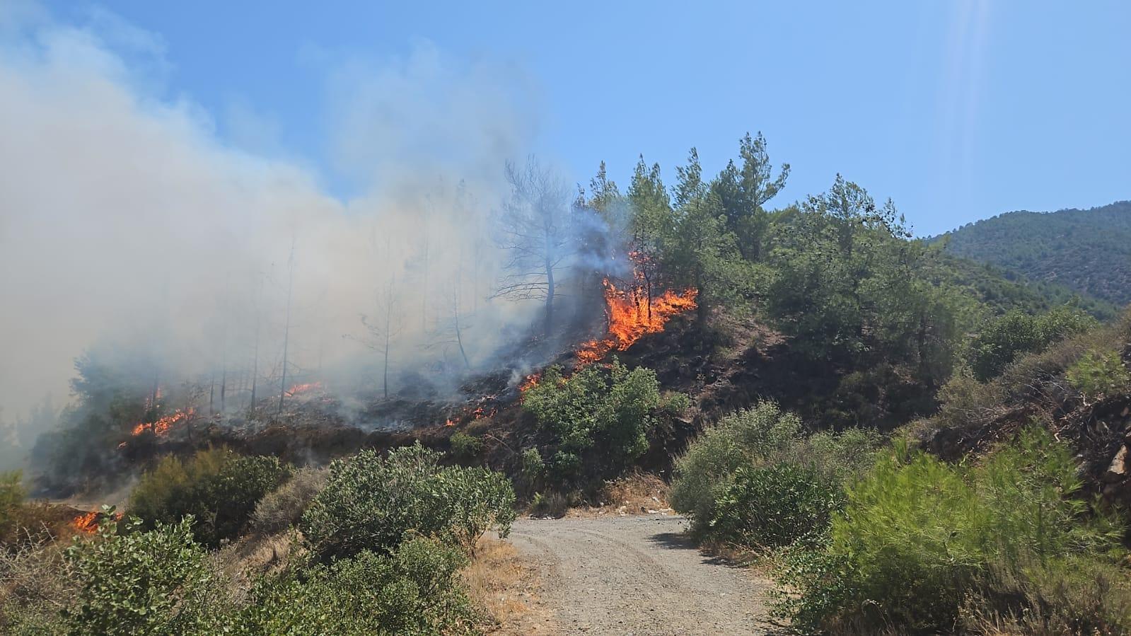 Antalya ve Hatay’da orman yangını