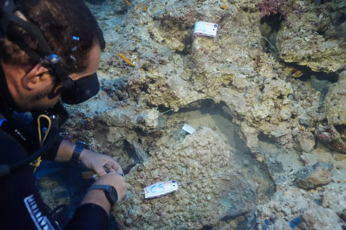 Antalya'da 3 Bin 600 Yıllık Gümüş Perçinli Tunç Hançer Bulundu