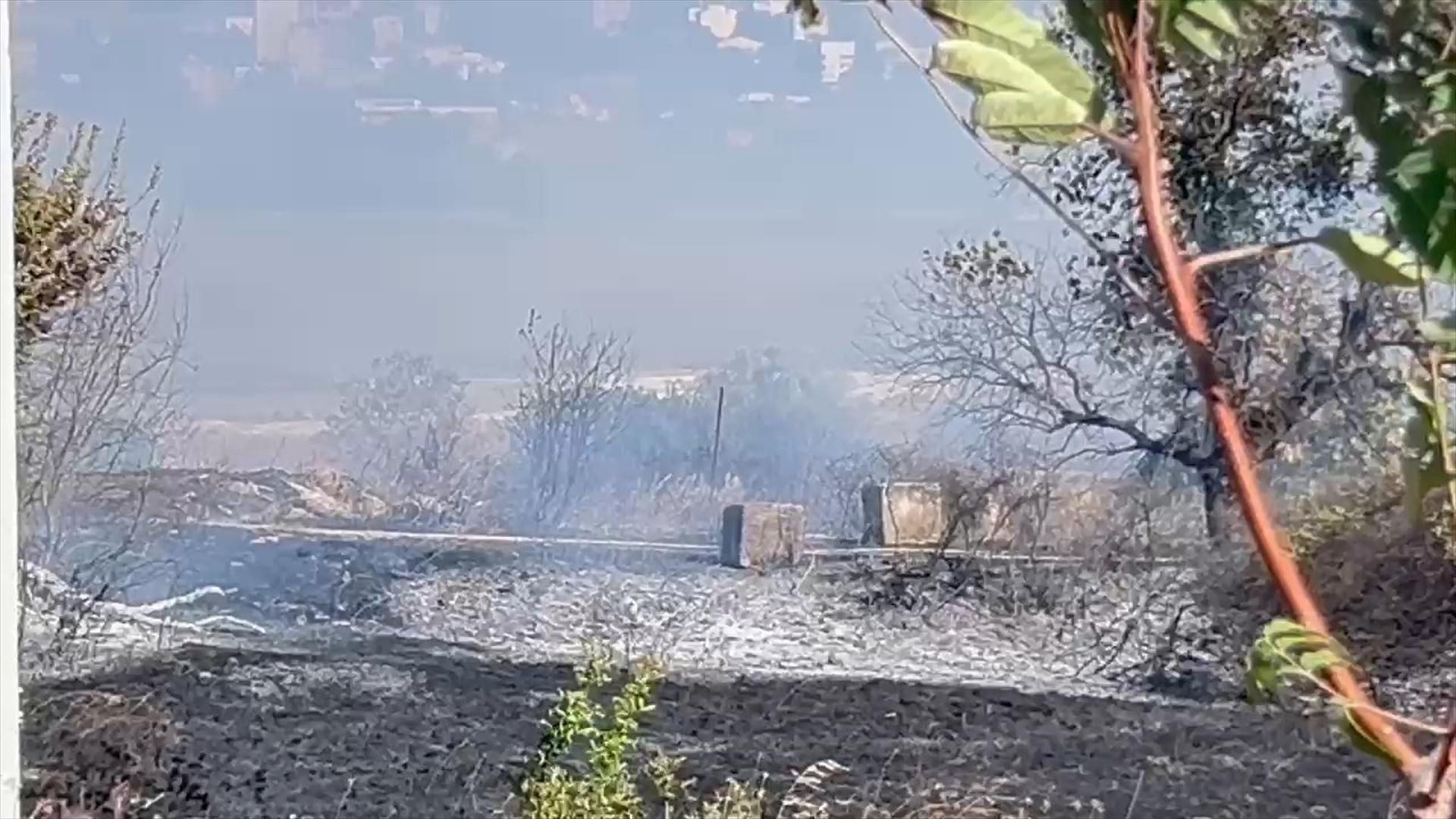 Avcılar'da ağaçlık alanda yangın! Tren seferleri durduruldu