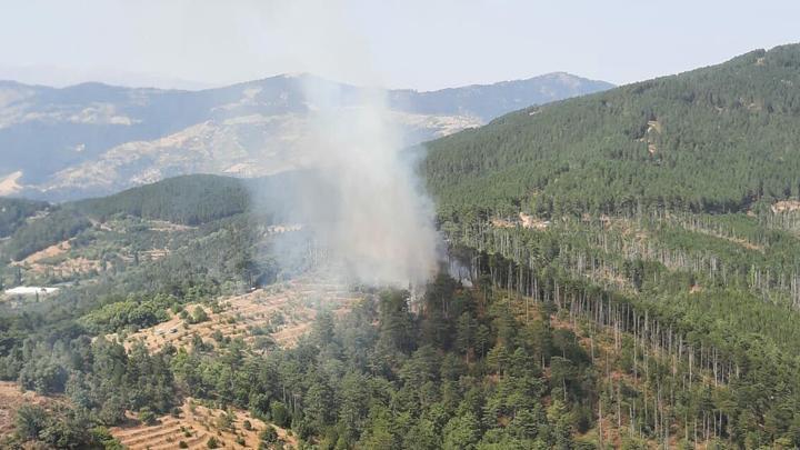 Aydın'da orman yangını: Havadan ve karadan müdahale ediliyor