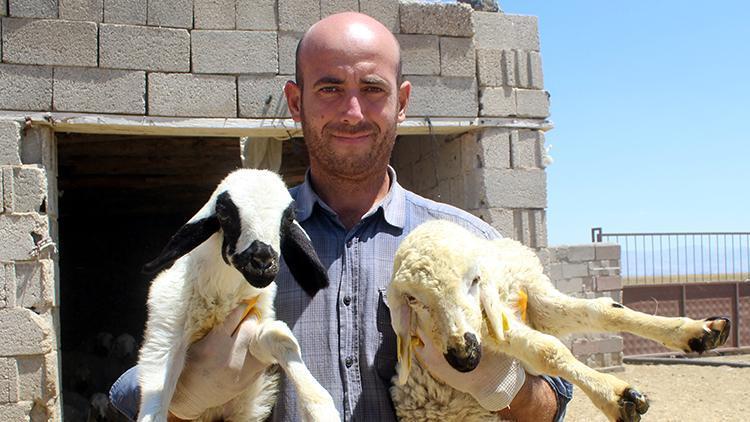 Banka şube müdüründen hayatını değiştiren karar... Babasından kalan hayvanlar için istifa etti