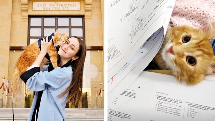 Beyza mühendislik, kedisi ‘miyav’ okudu: Kedi Barney mezun oldu