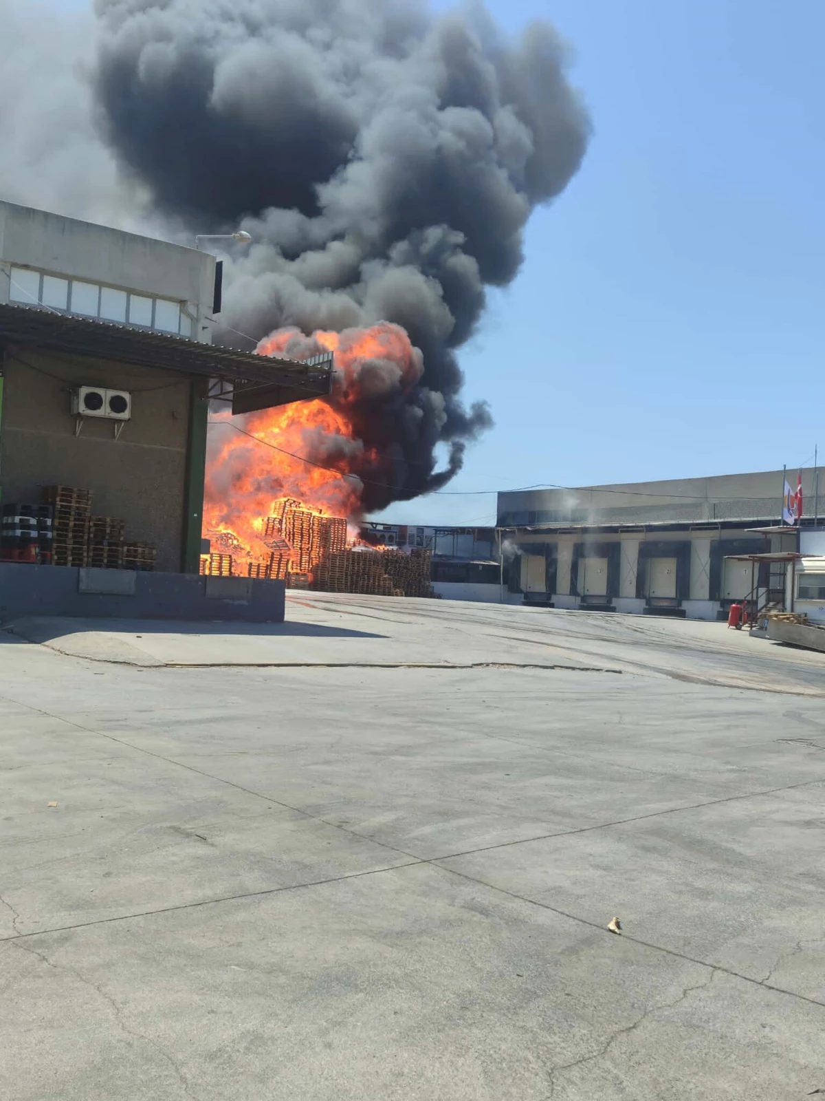 Bornova'da Palet Fabrikasında Yangın: İş Yerleri ve Araçlar Zarar Gördü