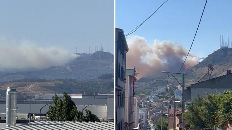 Bursa’nın Osmangazi ilçesinde orman yangını