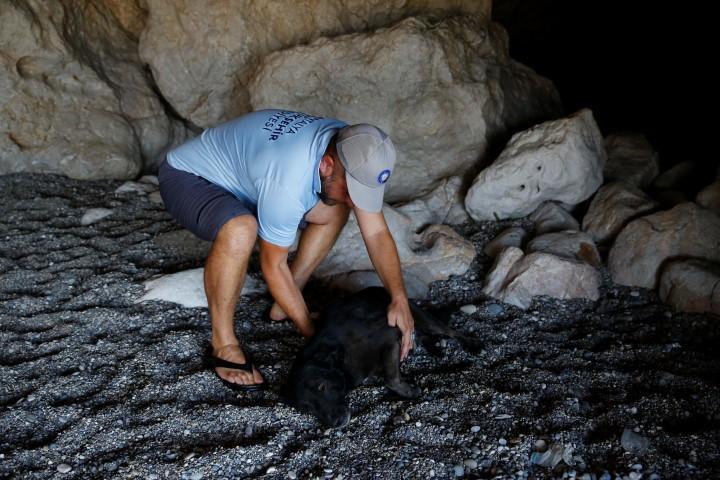 Büyük vicdansızlık! Mağaraya terk edilen köpek kurtarıldı