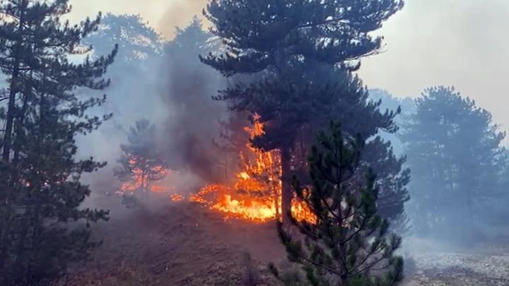 Çanakkale, İzmir, Manisa ve Bolu'da alevlerle mücadele... Bakan Yumaklı'dan açıklama: Önümüzdeki 3 gün yangınlar için riskli