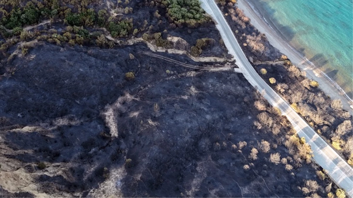 Çanakkale'de alevlerle mücadele sürüyor! Bir günde yaşanan kayıp gözler önüne serildi