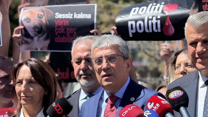 CHP'den Anayasa Mahkemesi'ne sokak hayvanları yasasının iptali başvurusu